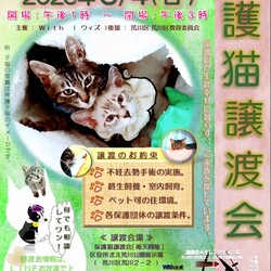 保護猫譲渡会2025初夏　With譲渡事業オレンジチャンス