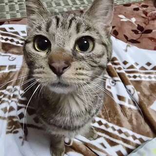 人が大好き❣一緒にずっといたい♡かえでちゃん