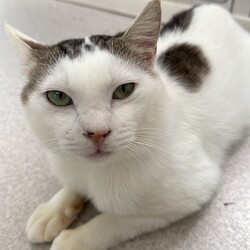 「初回ワクチン接種」サムネイル3