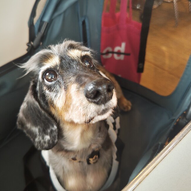 あっすー♪のカバー写真