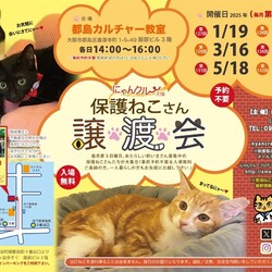 にゃんクルー保護猫さん譲渡会