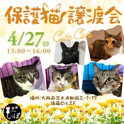 teamしっぽ譲渡会☆大阪府茨木市