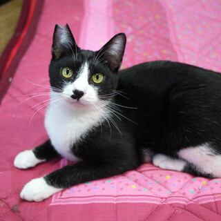 遊びが大好きなきゃべ☆