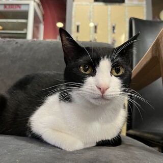 怖がりさんなみっつ