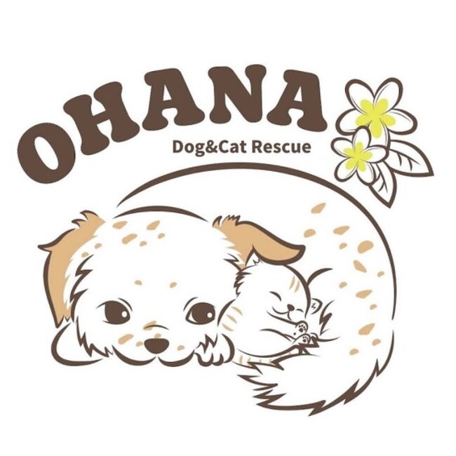 わんにゃんレスキューOHANAのカバー写真