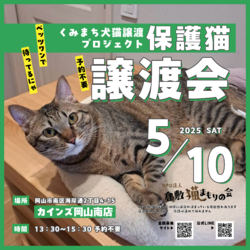 保護猫譲渡会（予約不要）