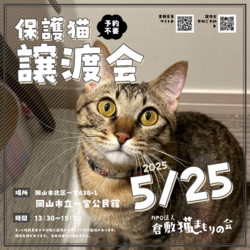 保護猫譲渡会（予約不要）