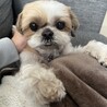 仮名：あず　 サムネイル2