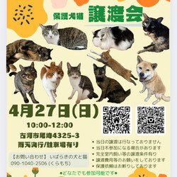 保護犬猫☺︎譲渡会 @古河市