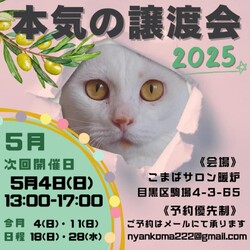 本気の譲渡会