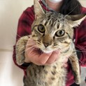 穏やかな性格のカイ君☆