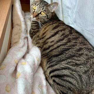 5/11幕張ෆ⃛撫でるとウットリෆ⃛ショウ君