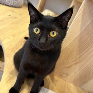 人が大好きなお喋りさん！