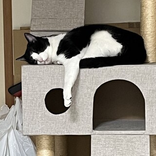 人が大好き♪いつでも側にいたいあきすみ君です！