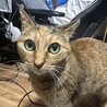  さん