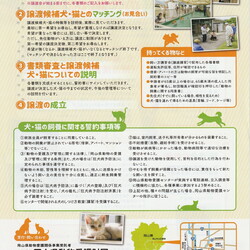 犬・猫の飼い方講習会・譲渡会 サムネイル2