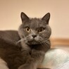 アップで写真を撮らせてくれるようになりました。先日は我が家に来て初の病院も！距離が近づいてきて嬉しい