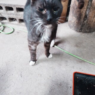 大切に育ててきました。