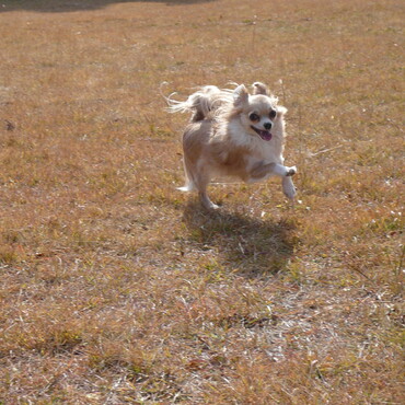 いっぱい走っていい笑顔！