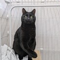 愛されボディで元気いっぱい！