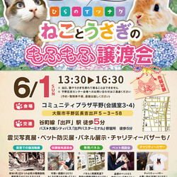 ひらのでツナグ！「ねことうさぎ」もふもふ譲渡会