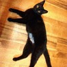 キュートで魅力満載な黒仔ネコちゃん サムネイル4