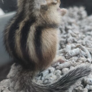 皆さん、ありがとうございました！