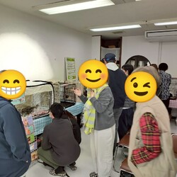 まだら家 サムネイル3
