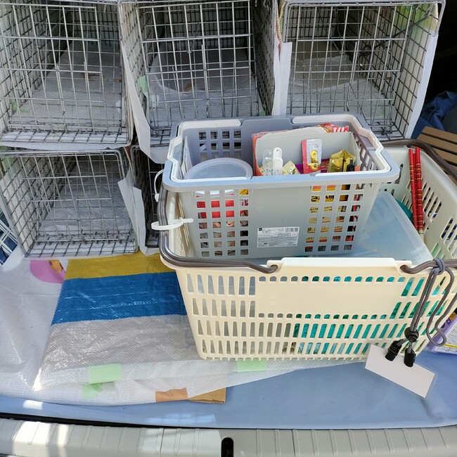 ネコゾノナコード（猫園仲人） by Tomojiのカバー写真