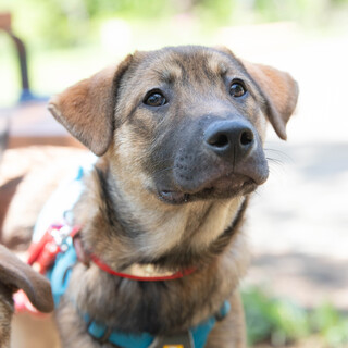 4ヶ月の女の子 あおいちゃん