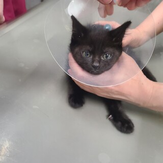 ビビりなパルムくん♡