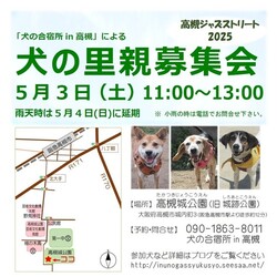 高槻ジャズストリートでの犬の里親募集会