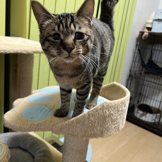 ෆ⃛利発女子ෆ⃛ティッカちゃん