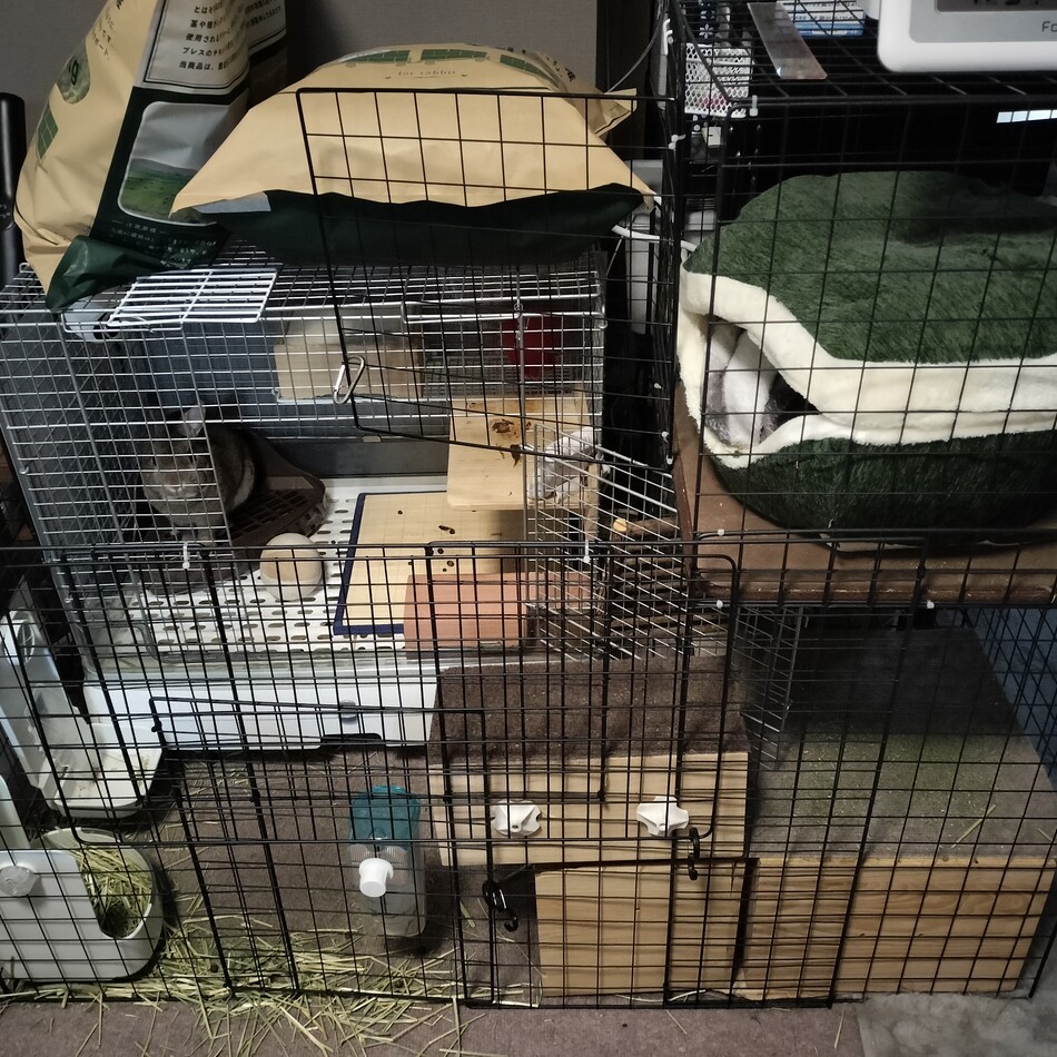 茶黒のカバー写真