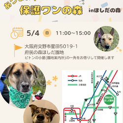 あつまれ！保護わんの森inほしだ園地(定期譲渡会)