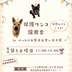 保護ワンコ譲渡会 in ペットのお葬式＆思い出工房