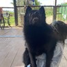 人が大好き陽気なサンバちゃん サムネイル3