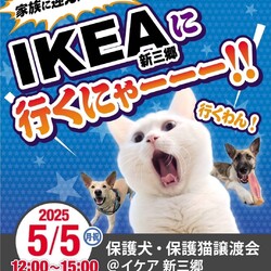 保護犬・保護猫譲渡会 IKEA新三郷