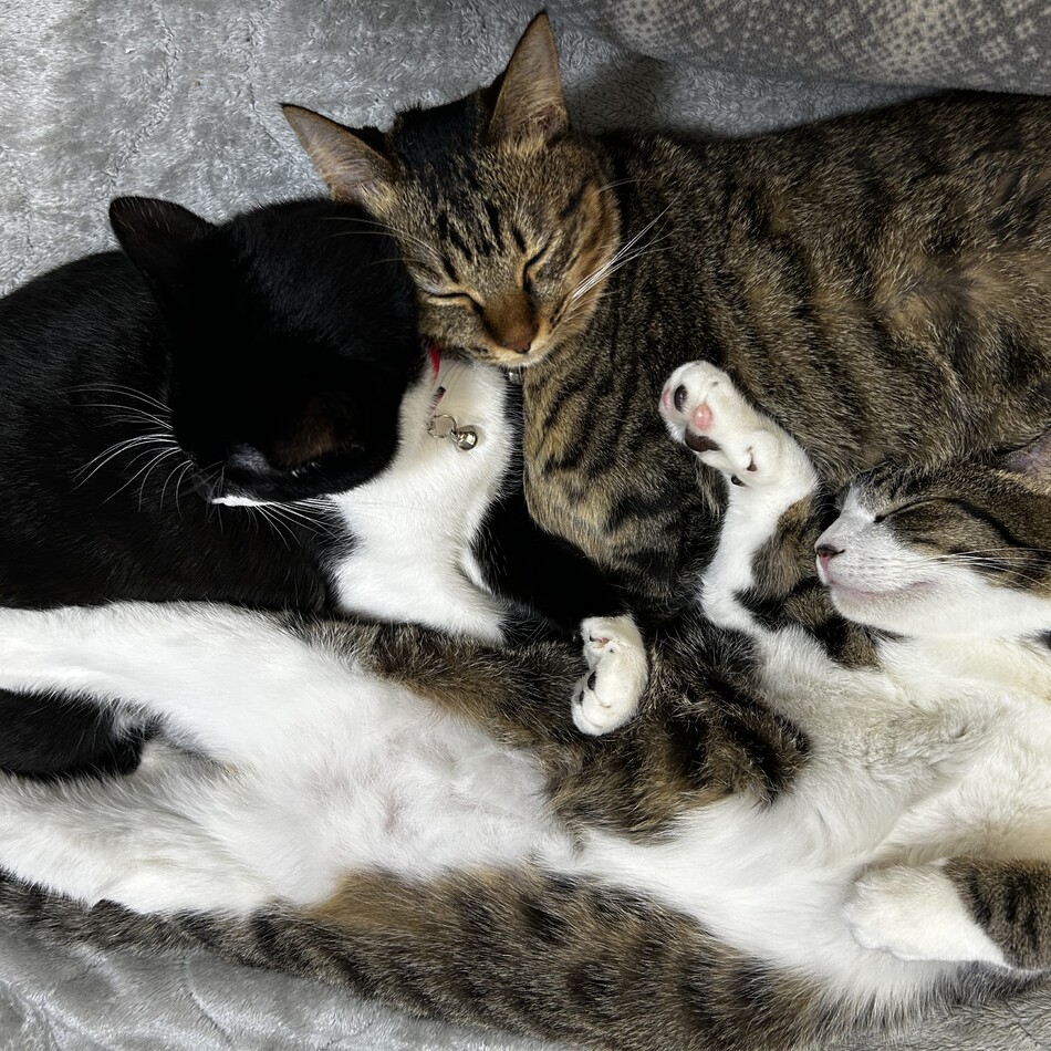 長崎　ロコのカバー写真