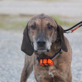 穏やかで人が大好き⭐︎ハリーくん