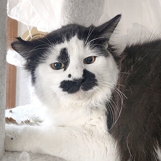 だれ？？ボクの顔を見て笑ったの！！