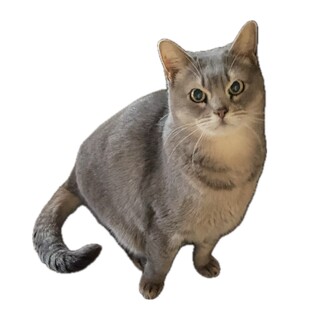 体格抜群なイナバ君！