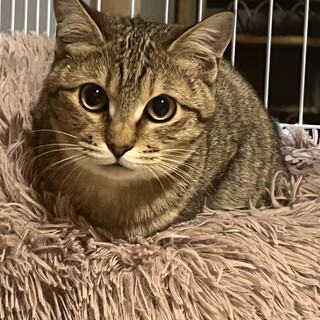 まんまるおめめ♡まんまるボディ♡の女の子