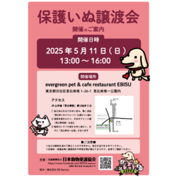 保護いぬ譲渡会＠恵比寿