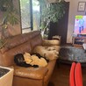 明るい未亡人