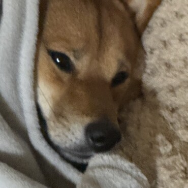 の写真