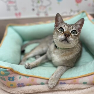 活発な甘えん坊さん！