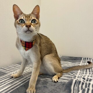 おっとりマイペースな甘えん坊さん