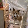 あ〜っ❣️破ったねぇ…