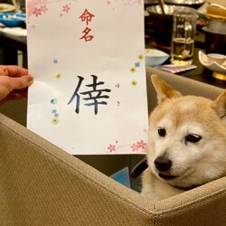 再始動(*•̀ㅂ•́)و✧